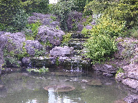 The Pond